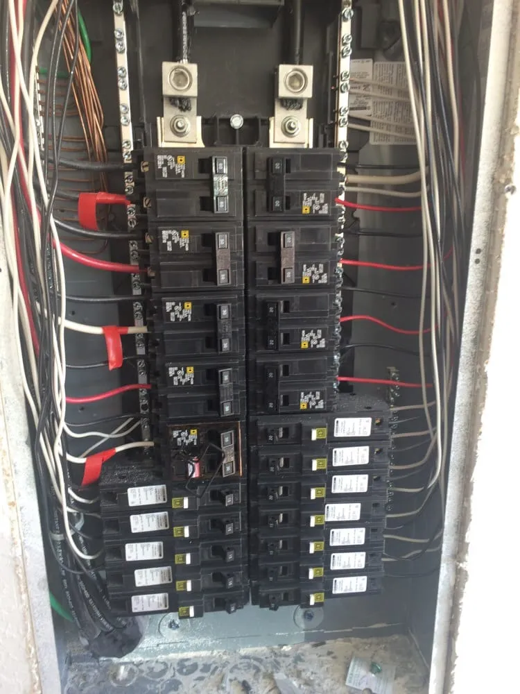 Slide of Miami Electric Wizards