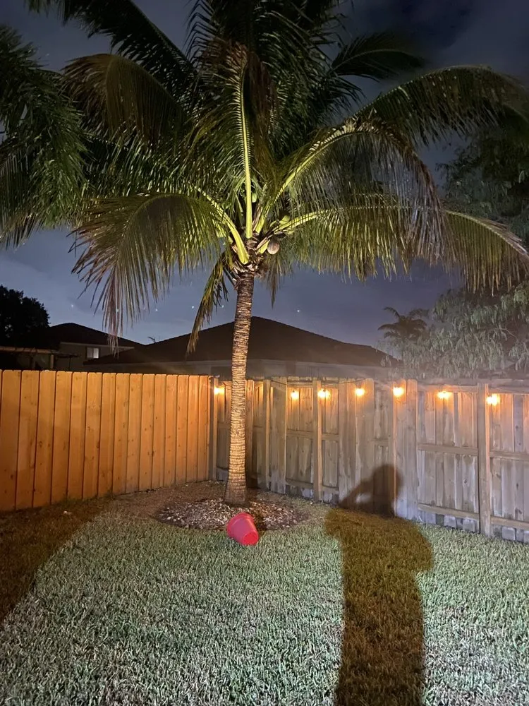 Slide of Miami Electric Wizards