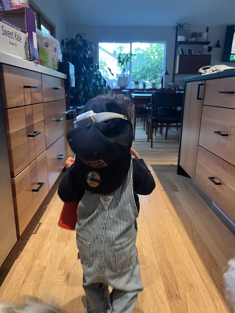 Emergency electrical service for homes in panel upgrade,  by 