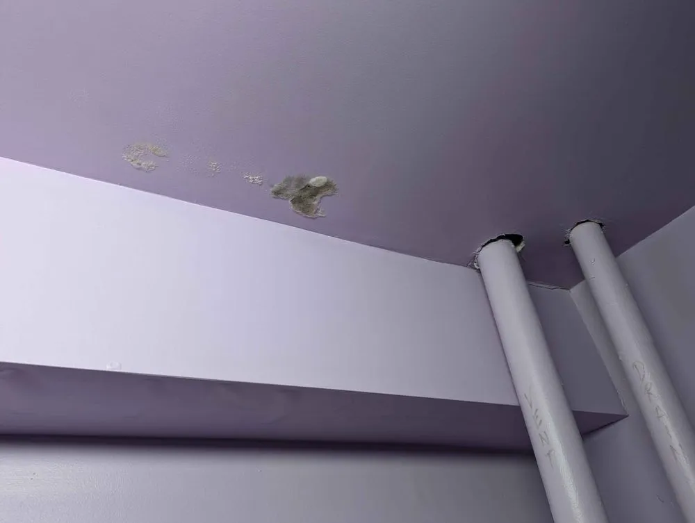 Licensed outlet and switch repair experts serving , - Michael & Son Services