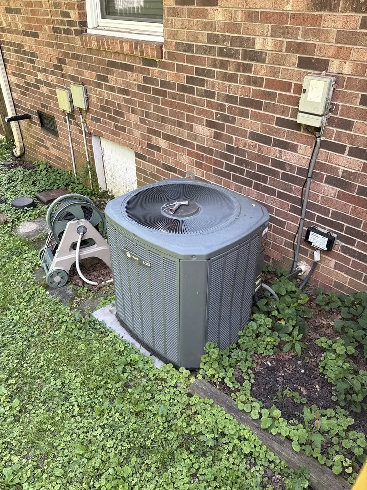 Affordable lighting installation service in , - Michael & Son Services