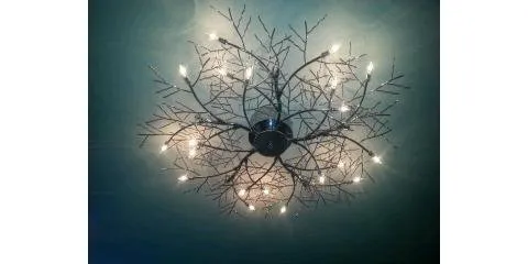 Slide of Michael Lawrence Electric