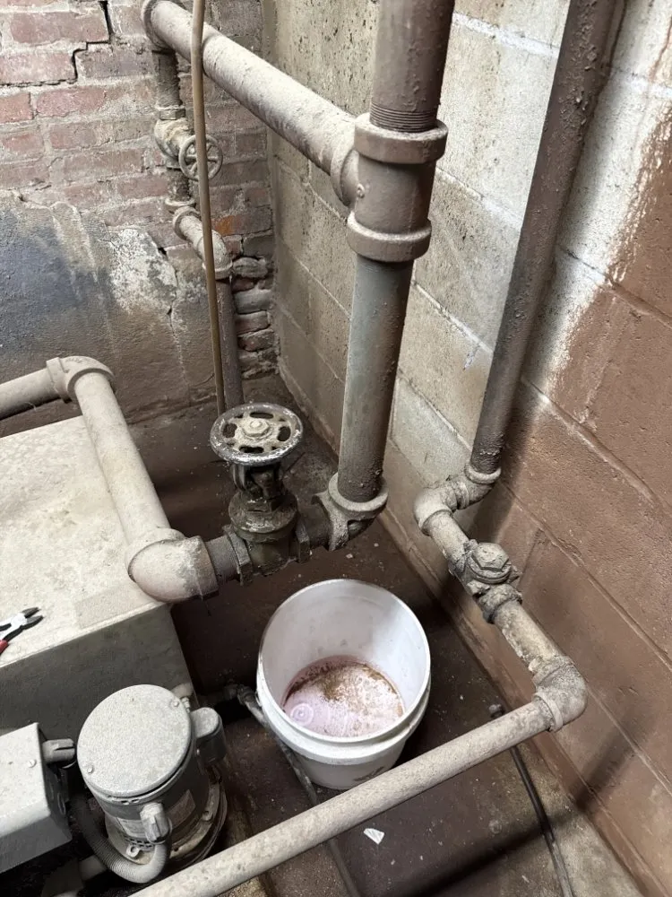 Slide of Michael Maintenance