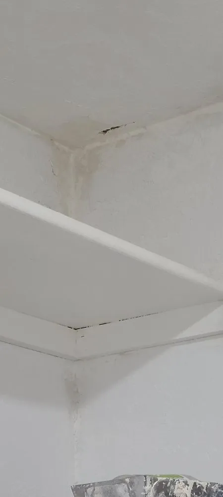 Slide of Mickey's Electric