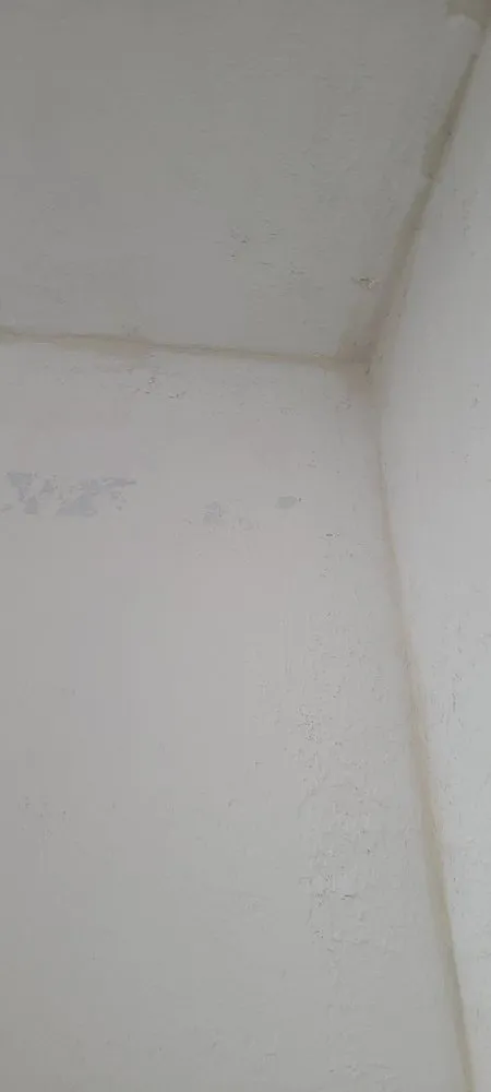 Slide of Mickey's Electric