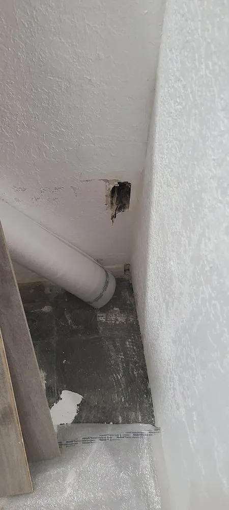 Slide of Mickey's Electric