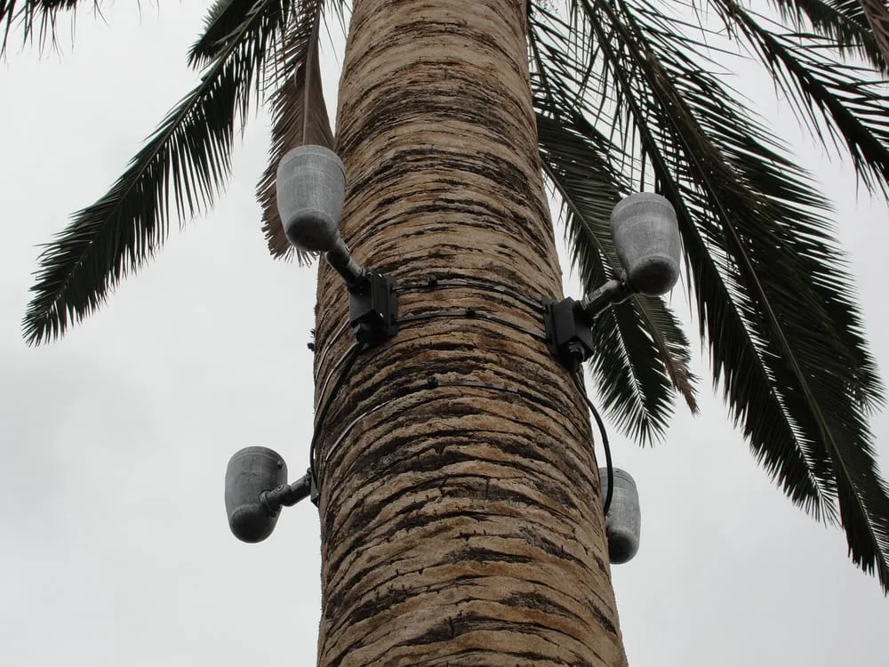 Slide of Mid City's Electric