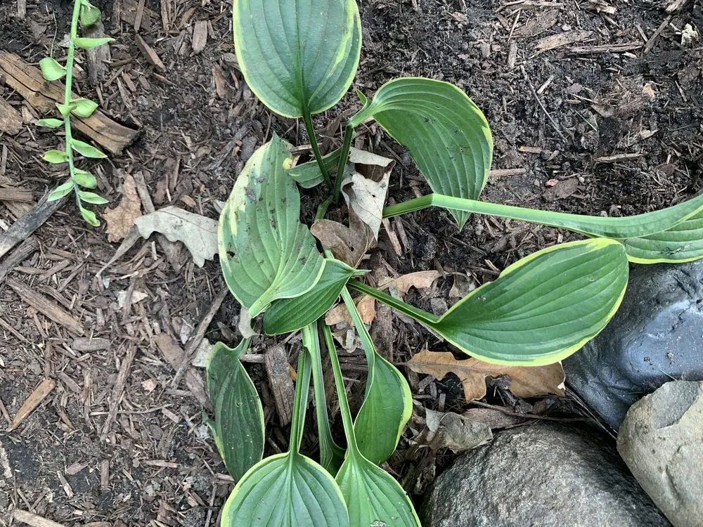 Slide of Midwest Electric & Generator