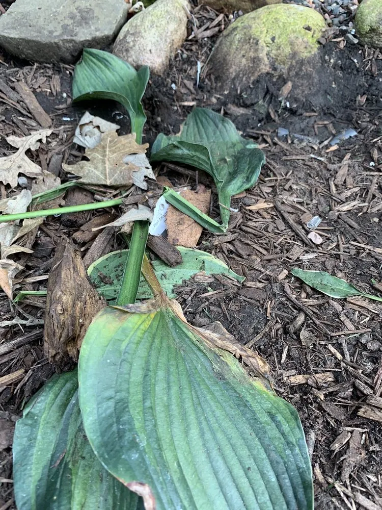 Slide of Midwest Electric & Generator