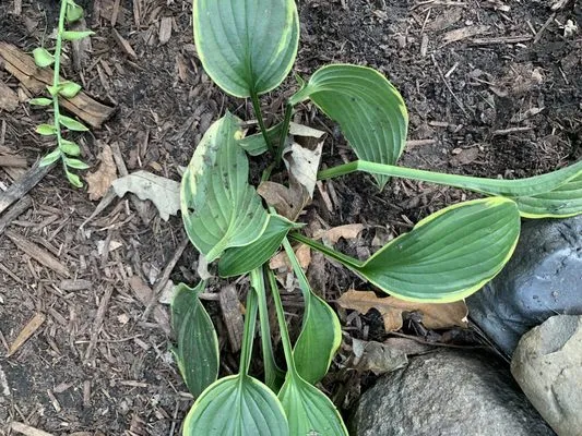 Midwest Electric & Generator