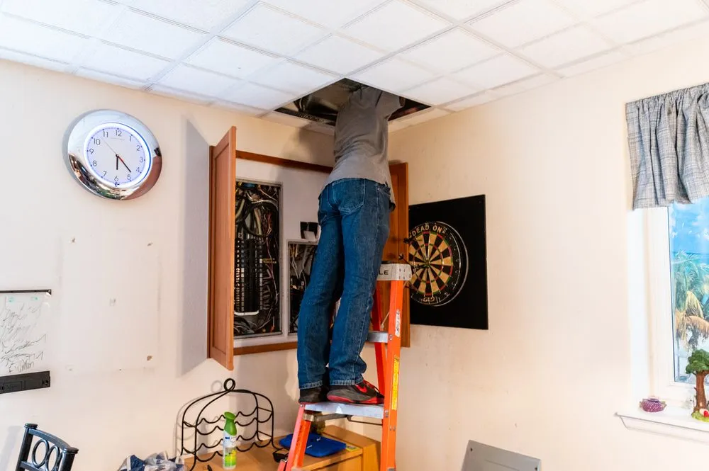 Slide of Mighty Bee Electric