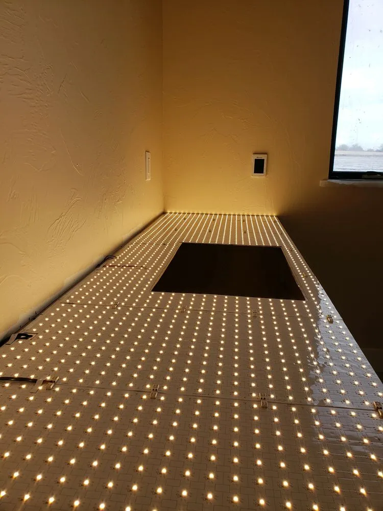 Slide of Mighty Bee Electric