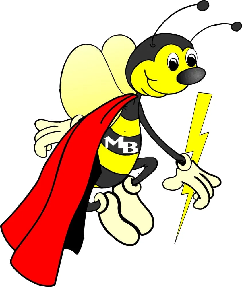 Licensed lighting installation service in ,  - Mighty Bee Electric