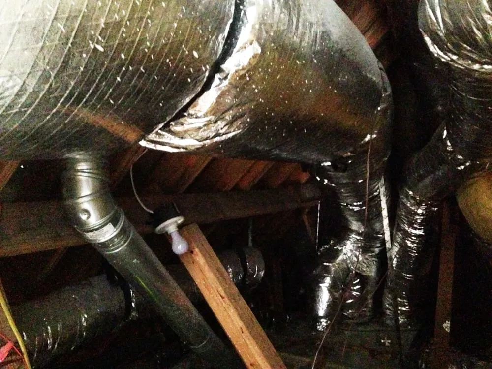 Slide of Mighty Does