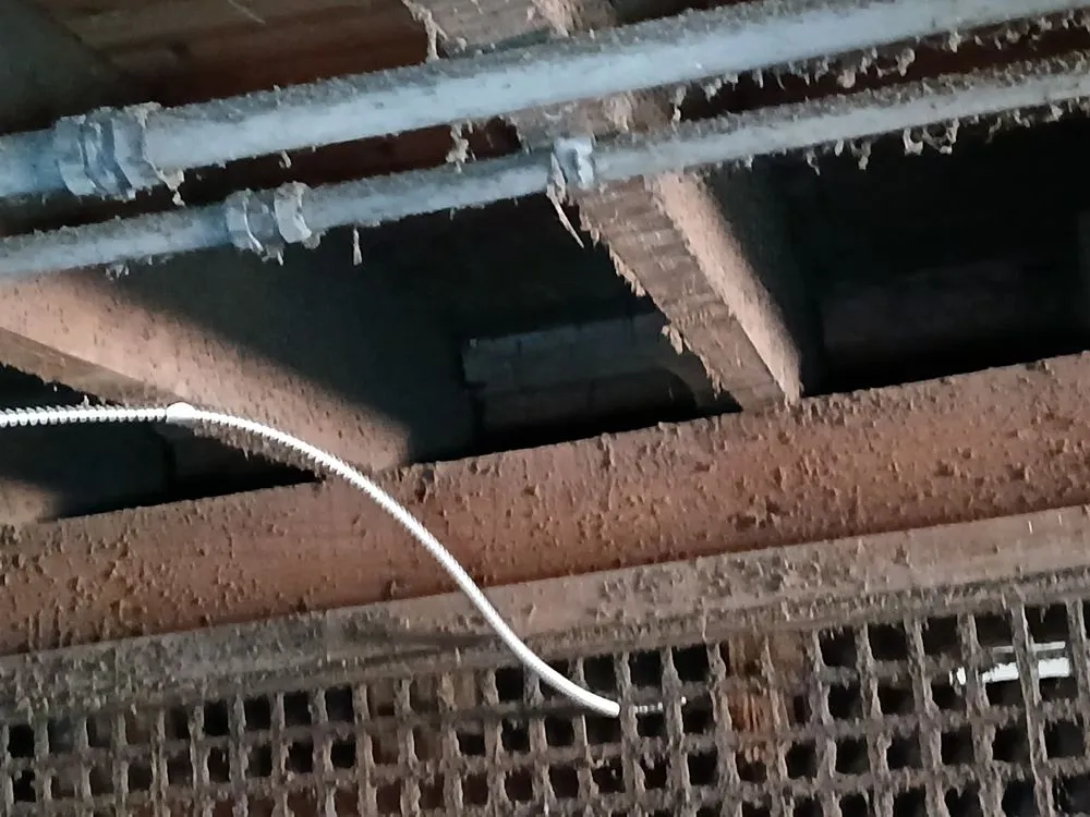 Slide of Mike And Mike Services