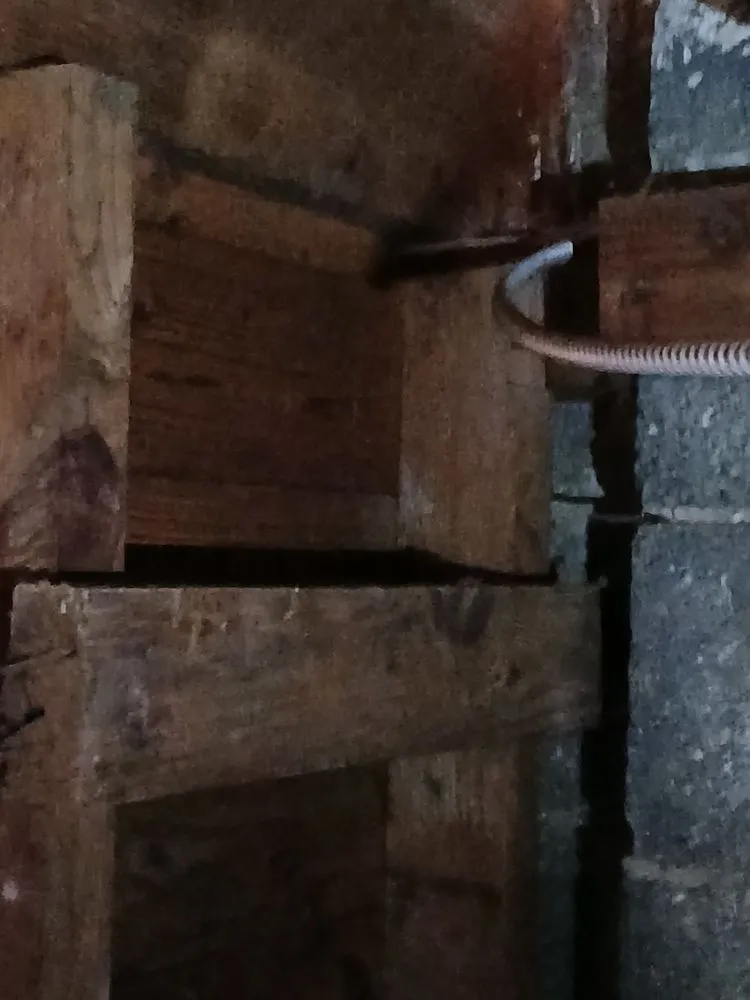 Slide of Mike And Mike Services