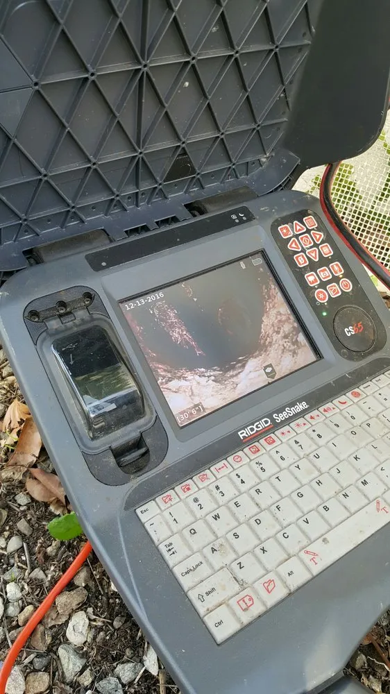 Slide of Mike Diamond