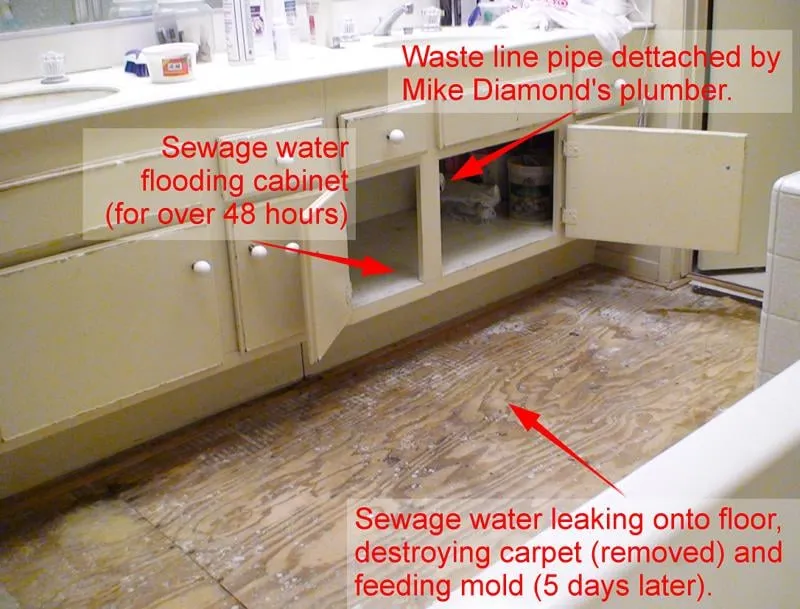 Slide of Mike Diamond Services