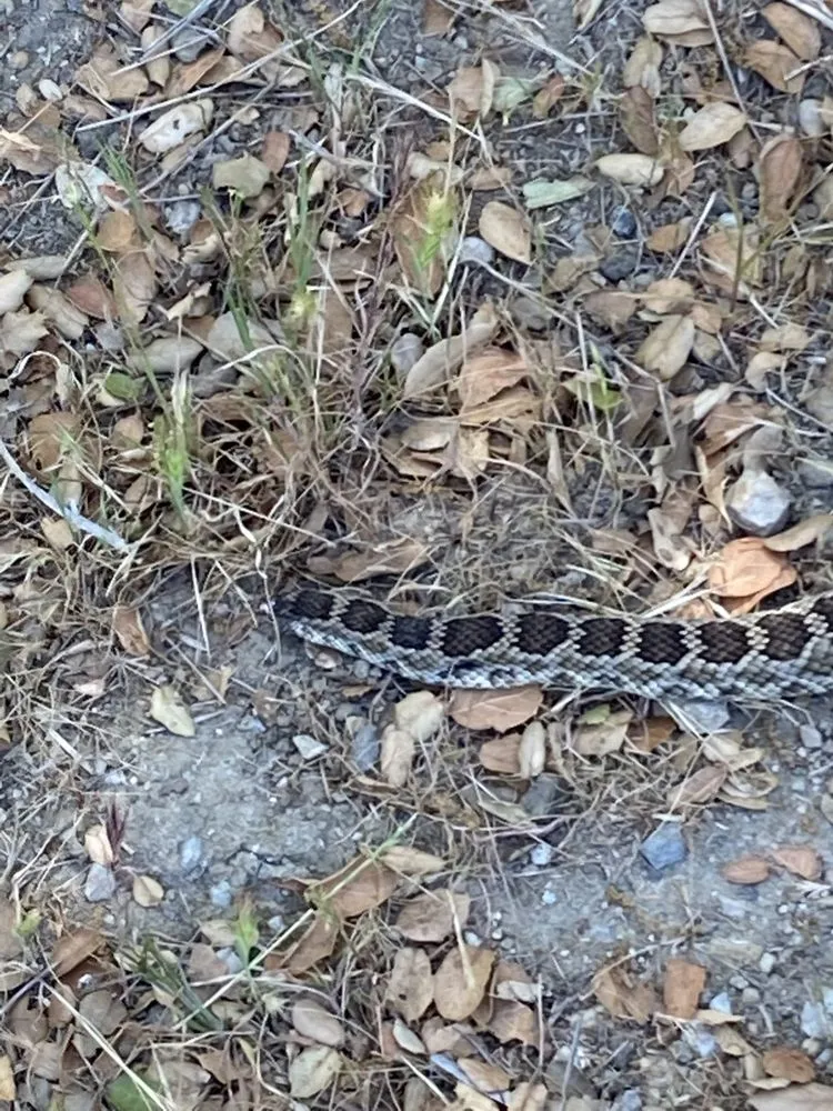 Licensed emergency electrical service service in , - Mike Diamond Services