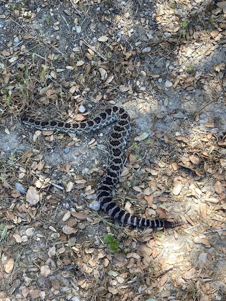 Licensed panel upgrade in , by Mike Diamond Services