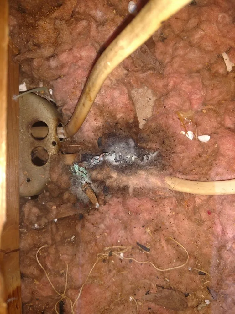 Slide of Mike Kenney Electrical Service