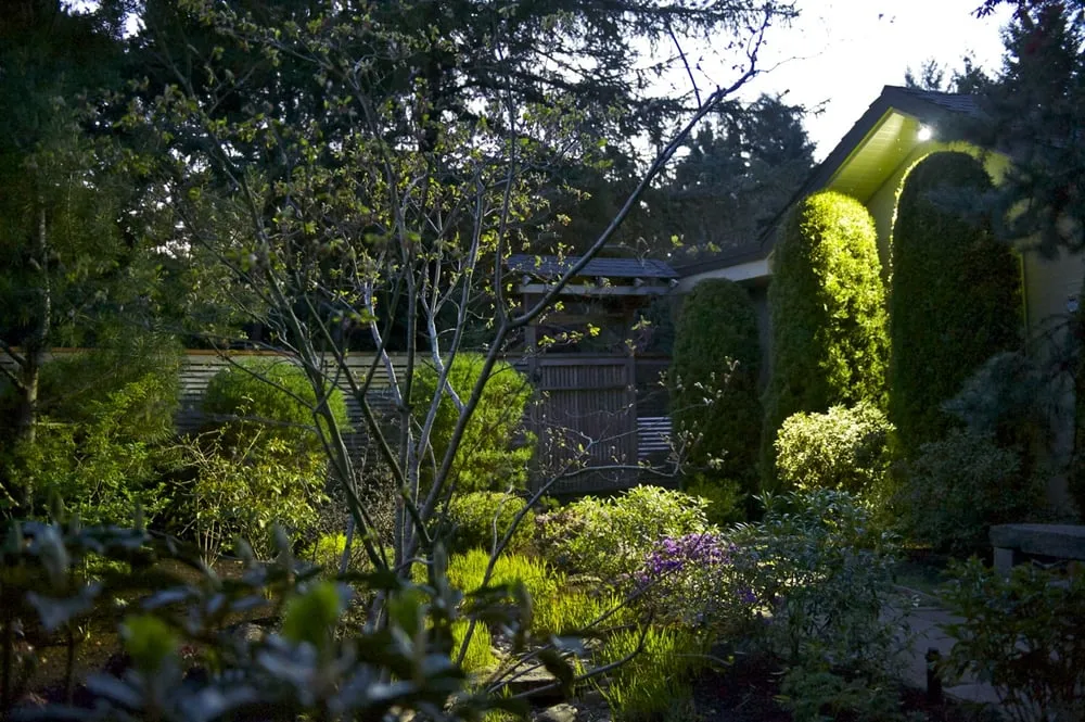 Slide of Mike's Electric