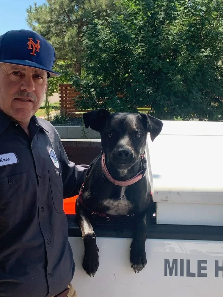 Slide of Mile Hi Electric