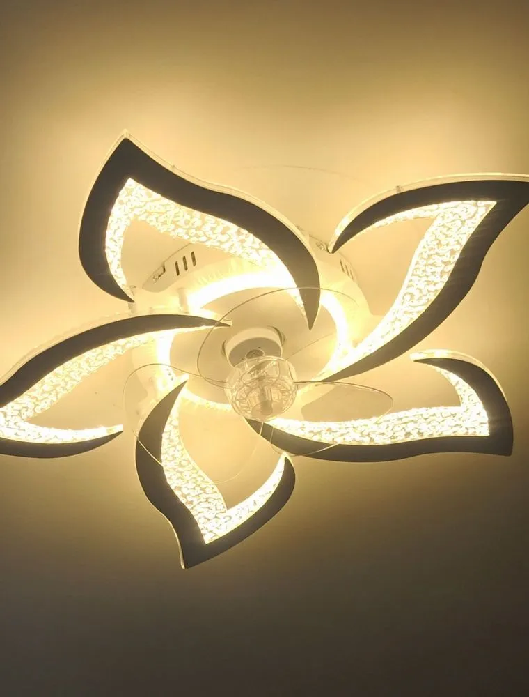 Slide of Milk Electrical