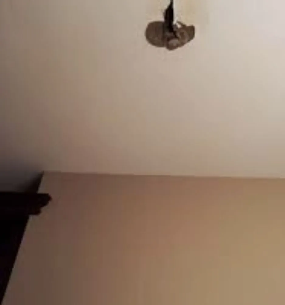 Slide of Miller & Humphrey Plumbing & Electric