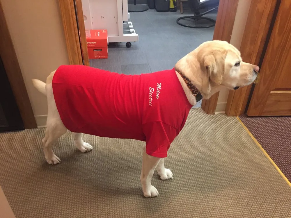 Slide of Milow Electric