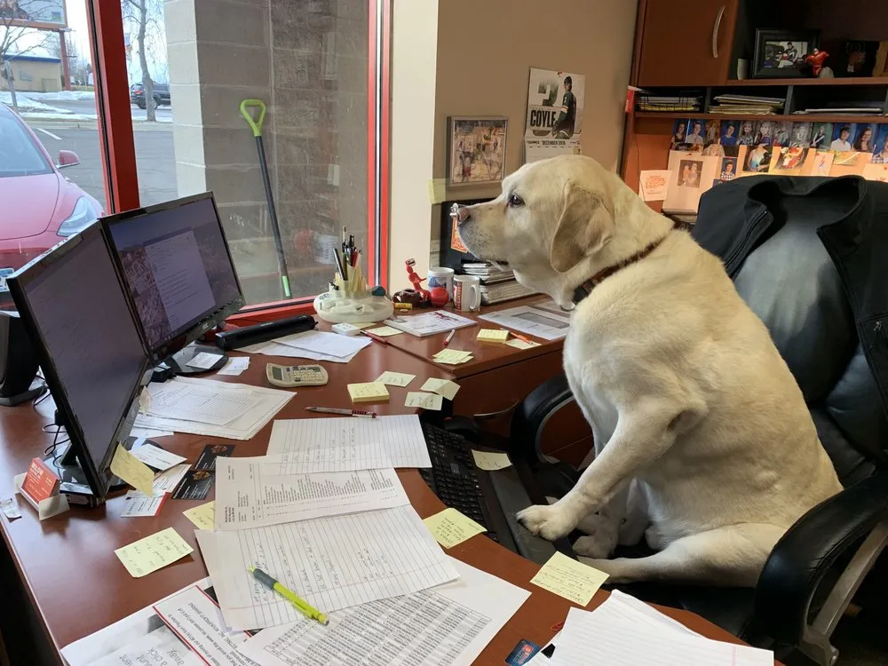 Slide of Milow Electric