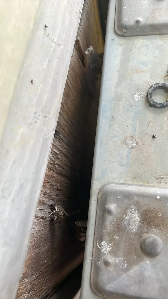 Slide of Mint Electric