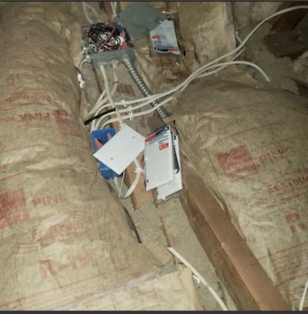 Slide of Mireya Electric