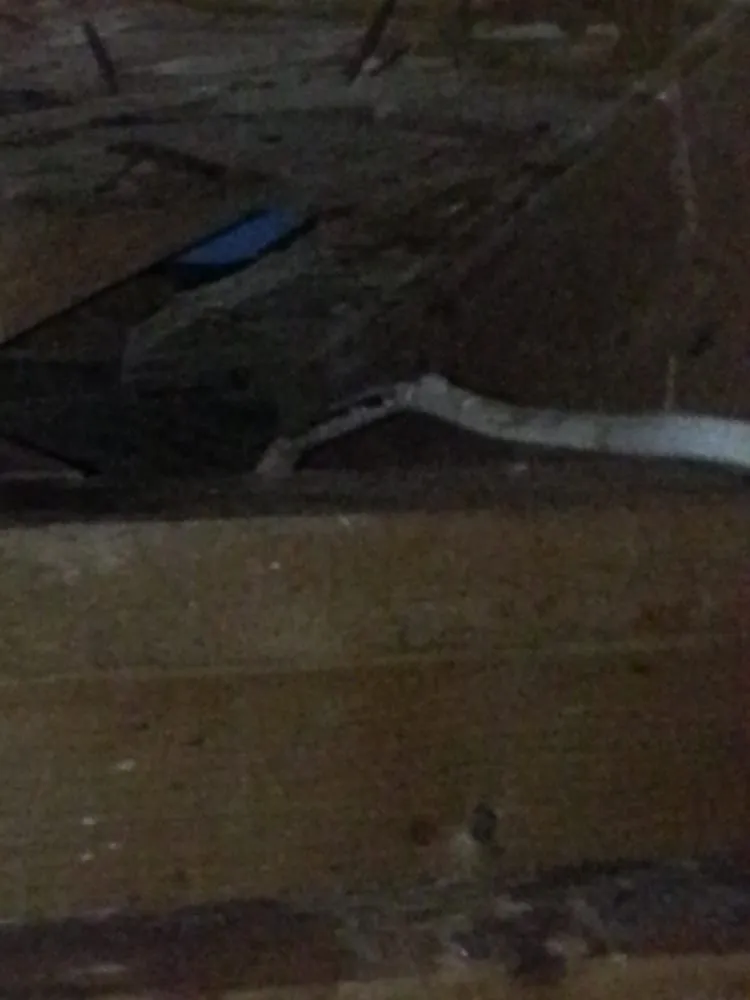 Slide of Mister Electrician