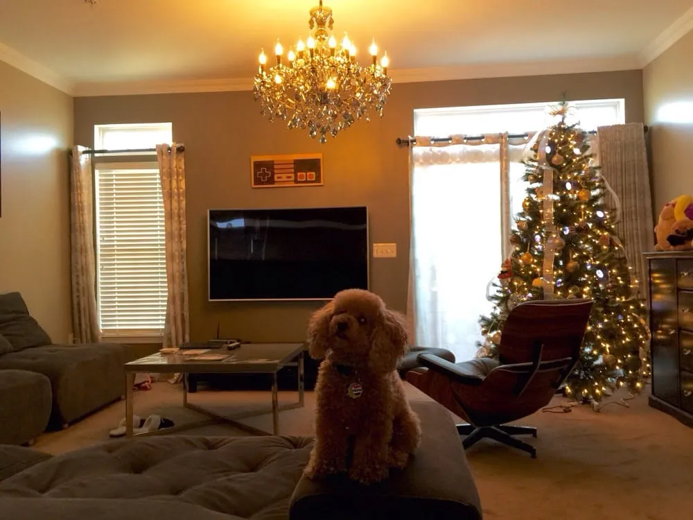 Certified outlet and switch repair in ,  by Mister Rogers Electric