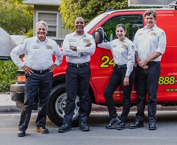 Slide of Mister Sparky - Birmingham