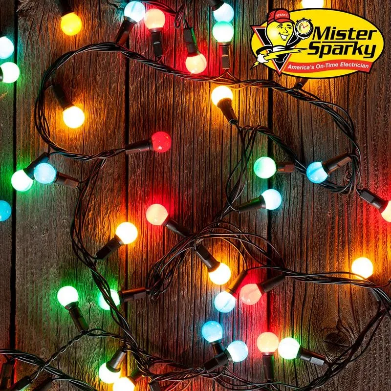 Slide of Mister Sparky - Oswego