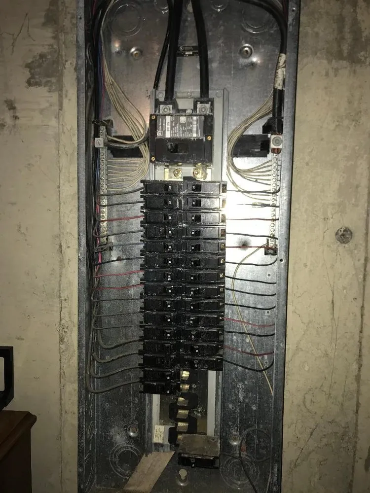 Slide of Mister Sparky - Oswego