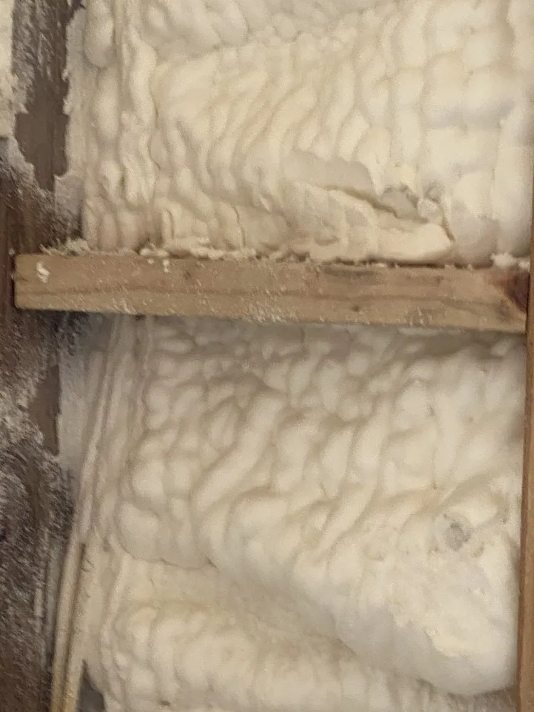 Slide of Mister Sparky®