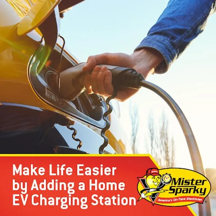 Slide of Mister Sparky