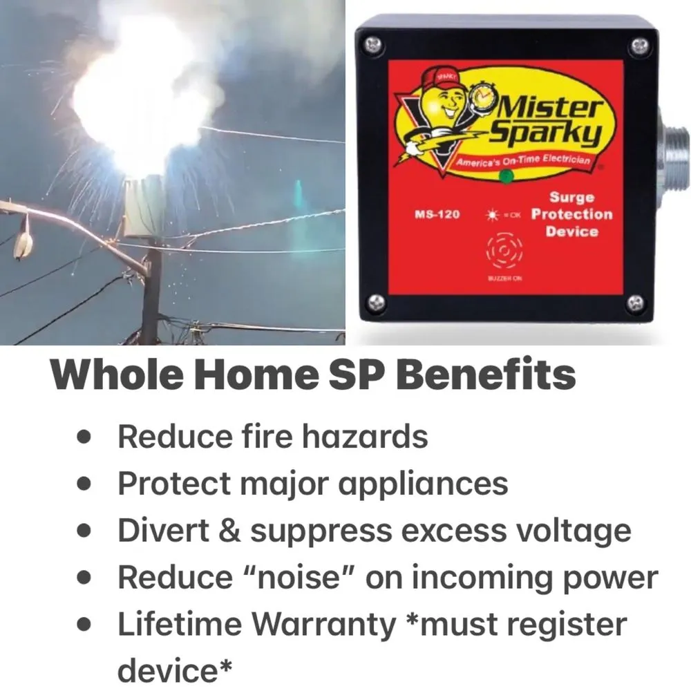 Slide of Mister Sparky