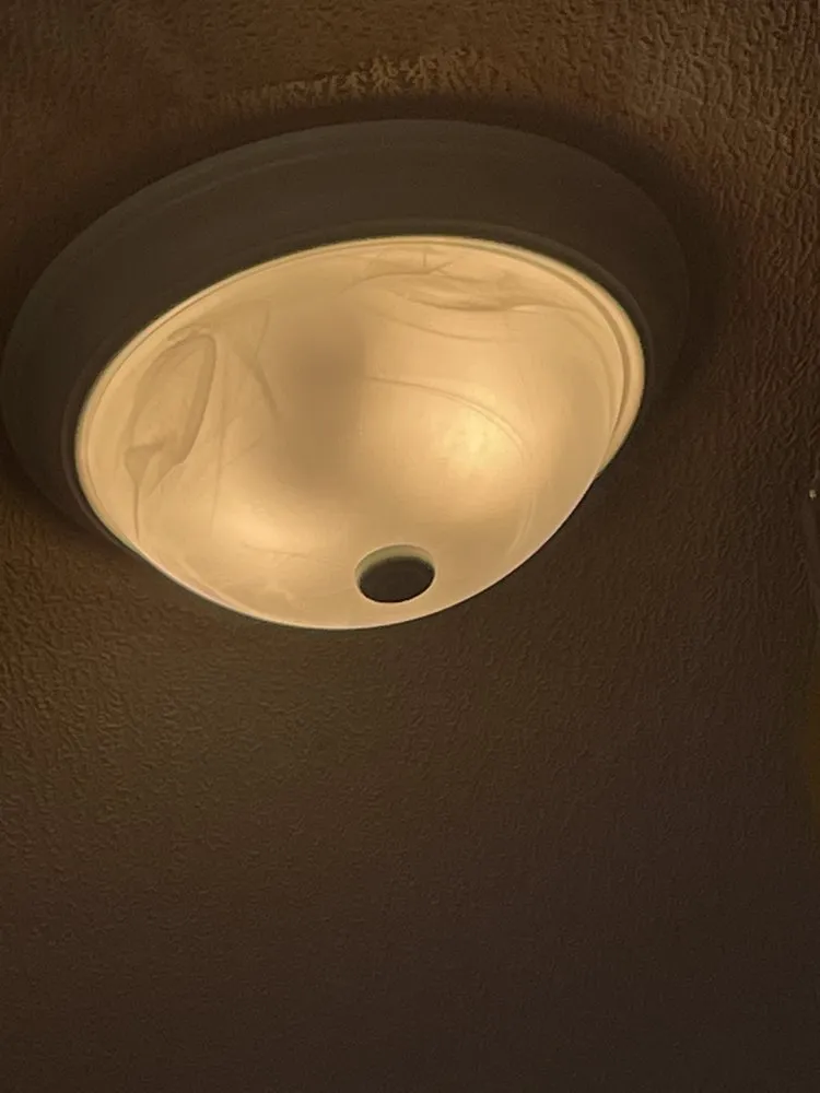 Slide of Mister Sparky