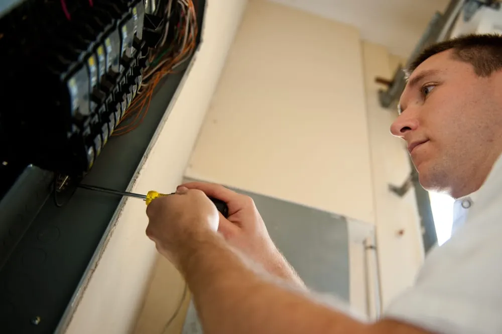 Slide of Mister Sparky