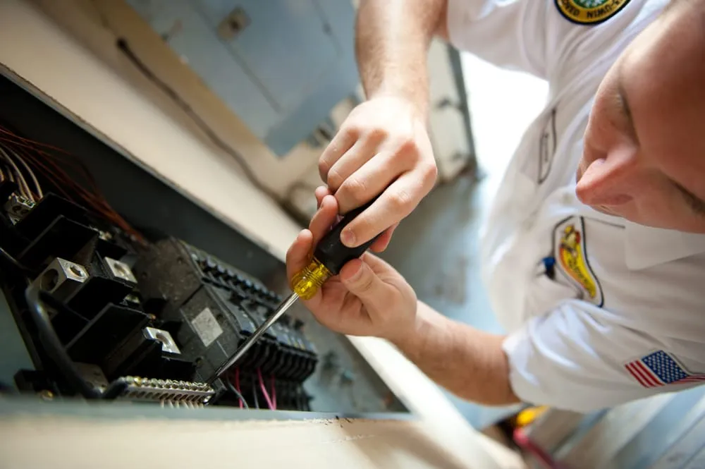 Slide of Mister Sparky