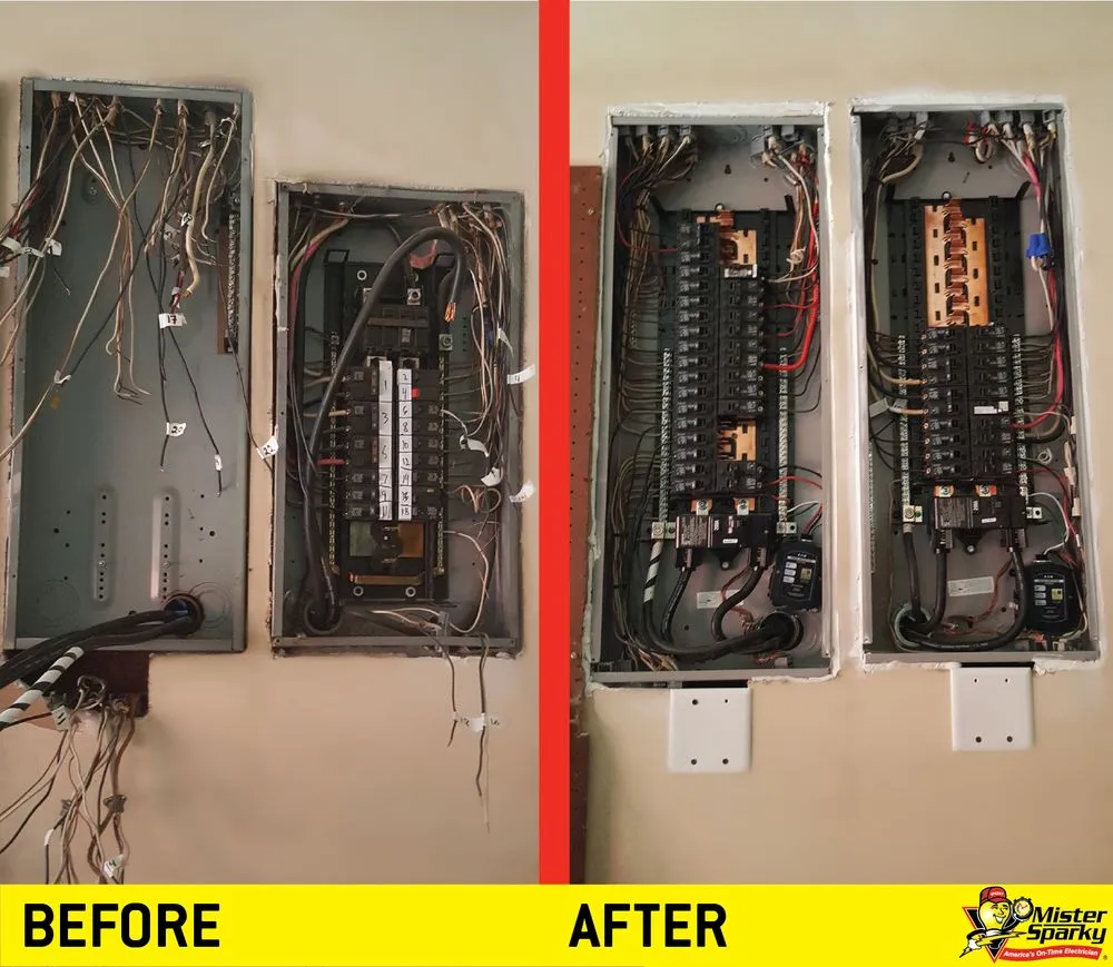 Slide of Mister Sparky