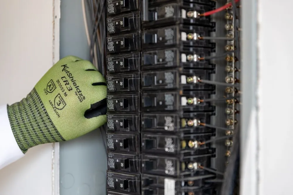 Slide of Mister Sparky