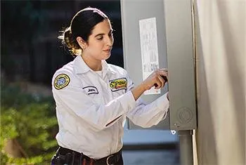 Slide of Mister Sparky