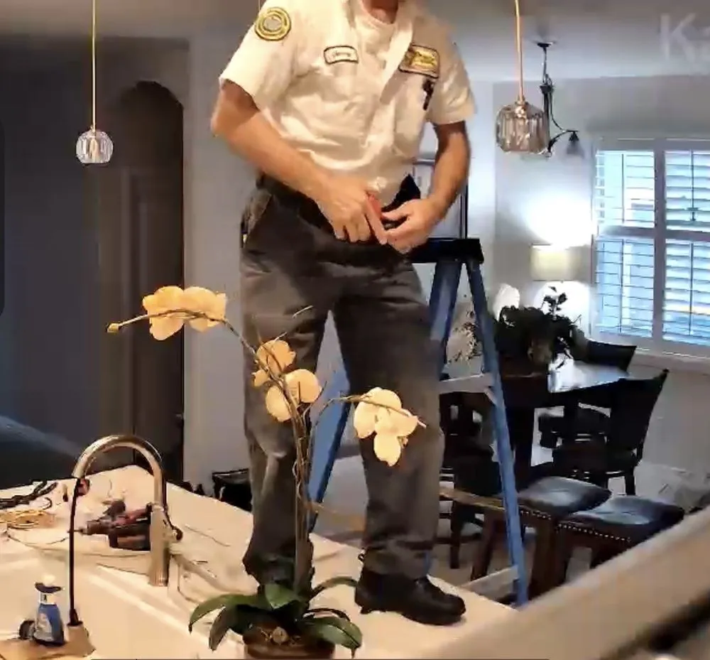 Slide of Mister Sparky®