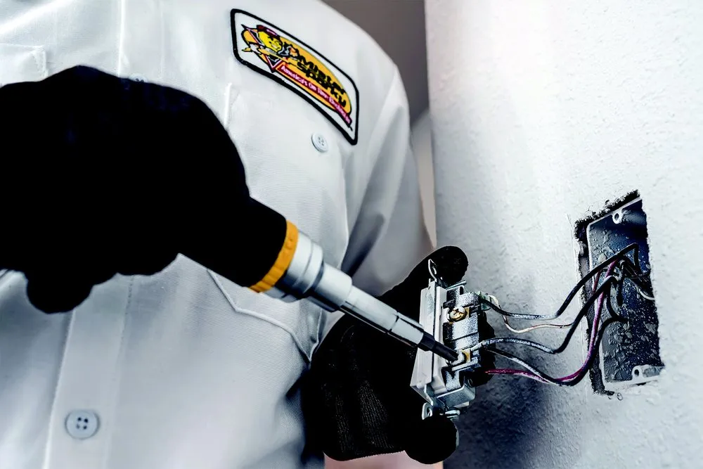 Slide of Mister Sparky