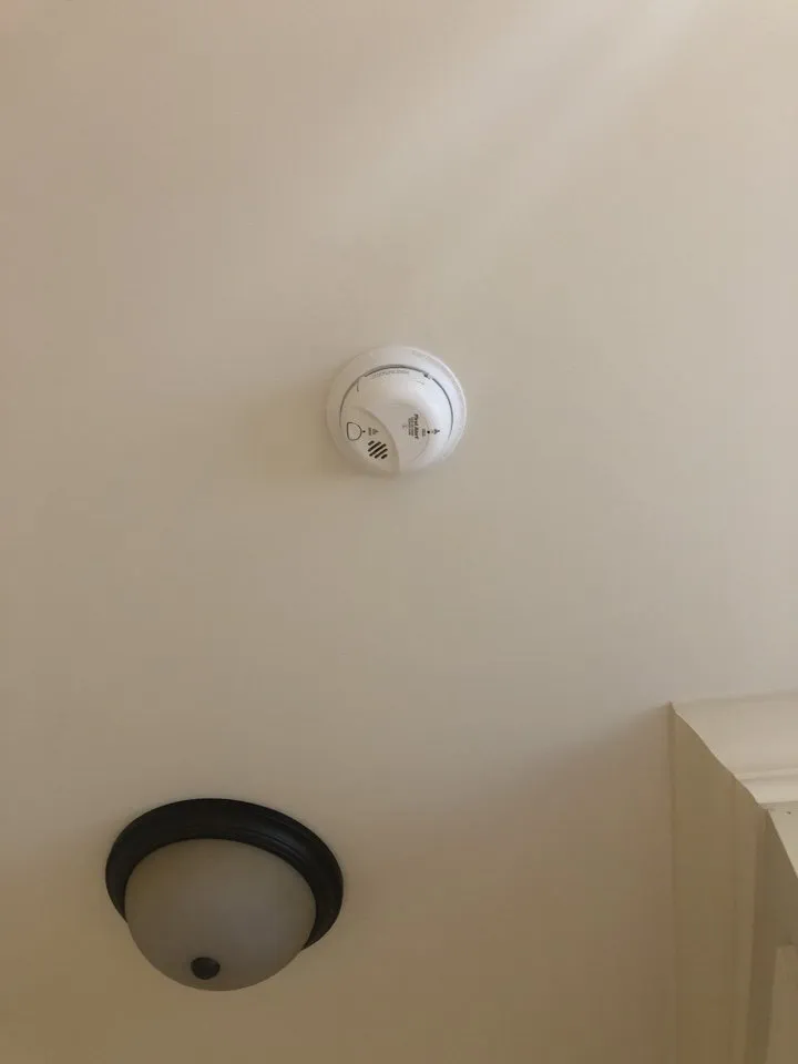 Slide of Mister Sparky of Cary